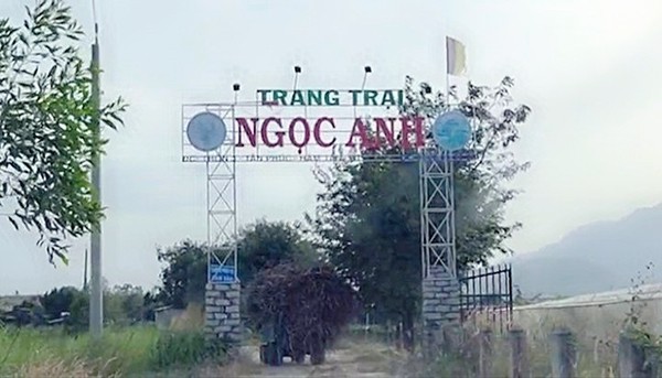 Hàm Tân- Bình Thuận : Thông tin kết quả kiểm tra, xử lý sai phạm tại trang trại Ngọc Anh