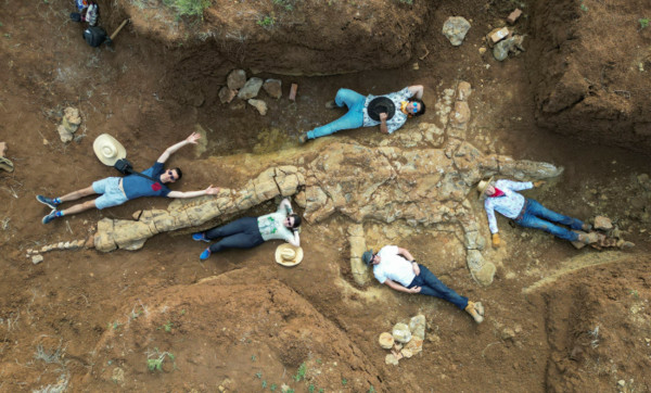 Phát hiện hoá thạch hiếm của thằn lằn đầu rắn tại Úc