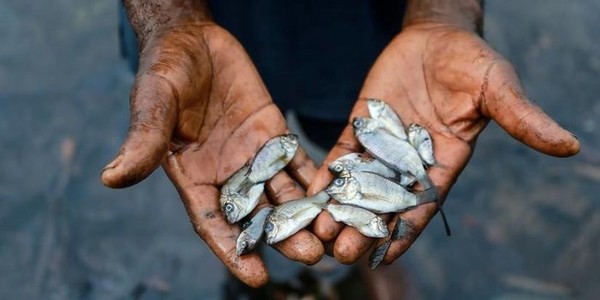 Nigeria: 14.000 người đòi Shell bồi thường thiệt hại do ô nhiễm môi trường