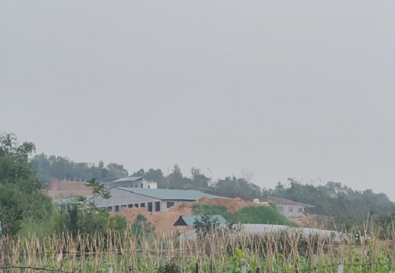 Tam Quan – Tam Đảo: Đua nhau kinh doanh trang trại trên đất rừng sản xuất